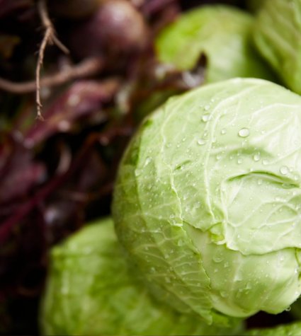 Fotografía de vegetales